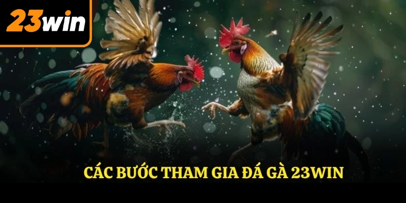 Các bước tham gia đá gà 23win Các bước tham gia đá gà 23win
