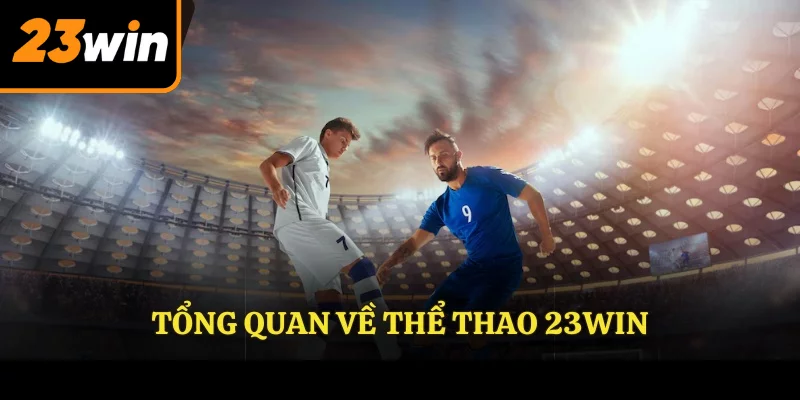 Tổng quan về thể thao 23Win